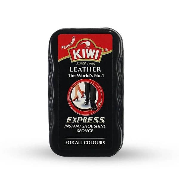 Instant Shoe Shine Sponge by Express