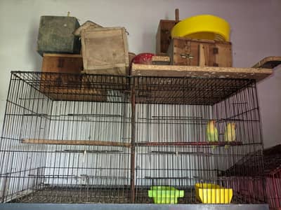 love birds and cocktail cage for sale