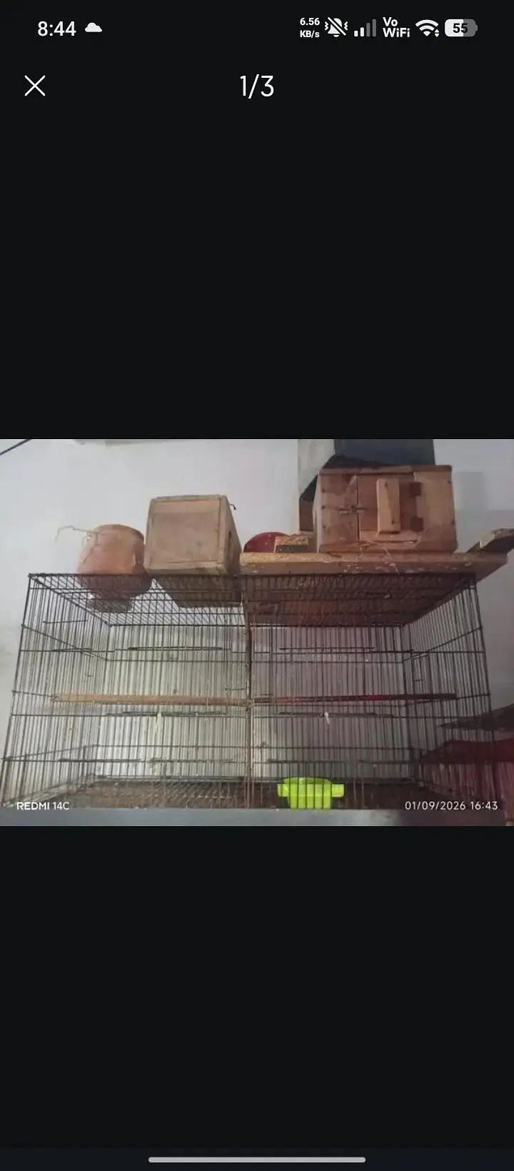 love birds and cocktail cage for sale — photo 2