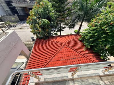 cage for sale