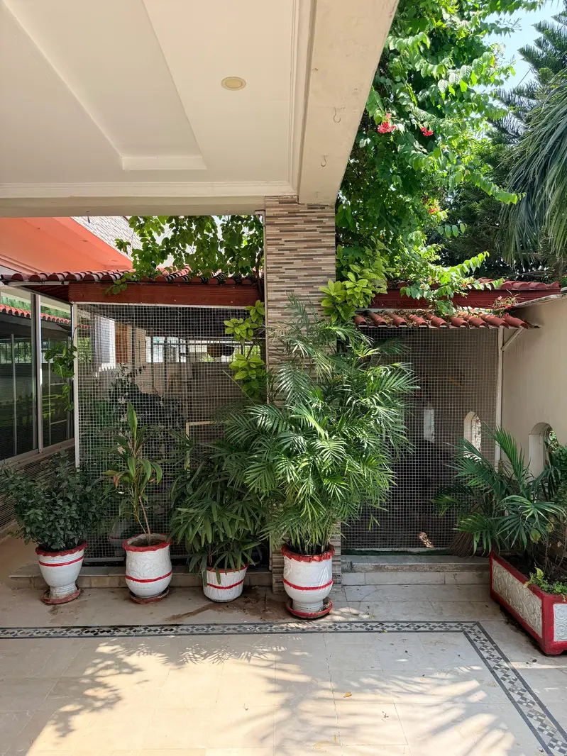 cage for sale — photo 3