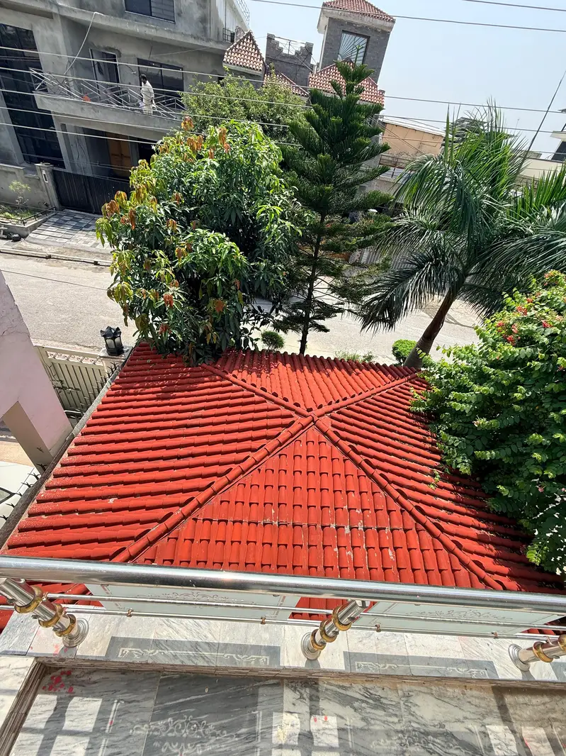 cage for sale — photo 4