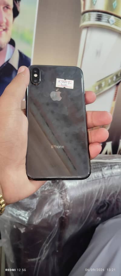 Apple iPhone X