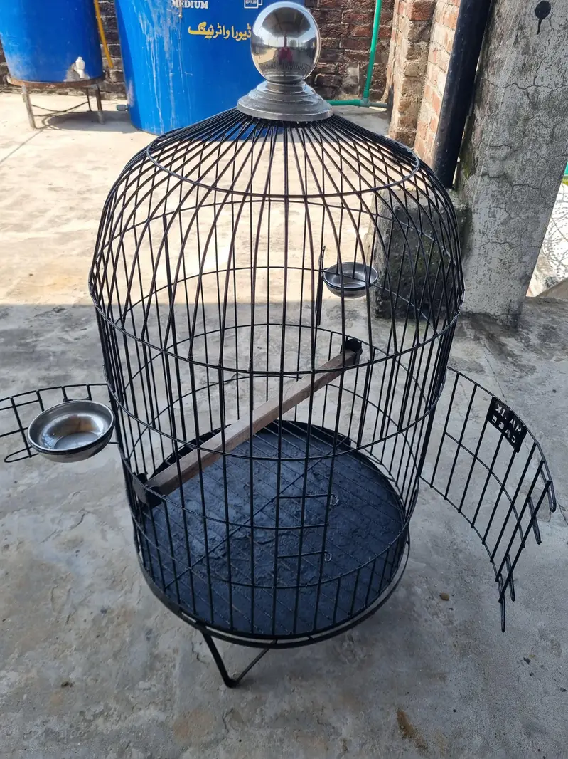 RAW + RINGNECK PARROTS cage for sale — photo 2