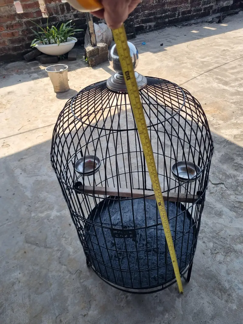 RAW + RINGNECK PARROTS cage for sale — photo 4
