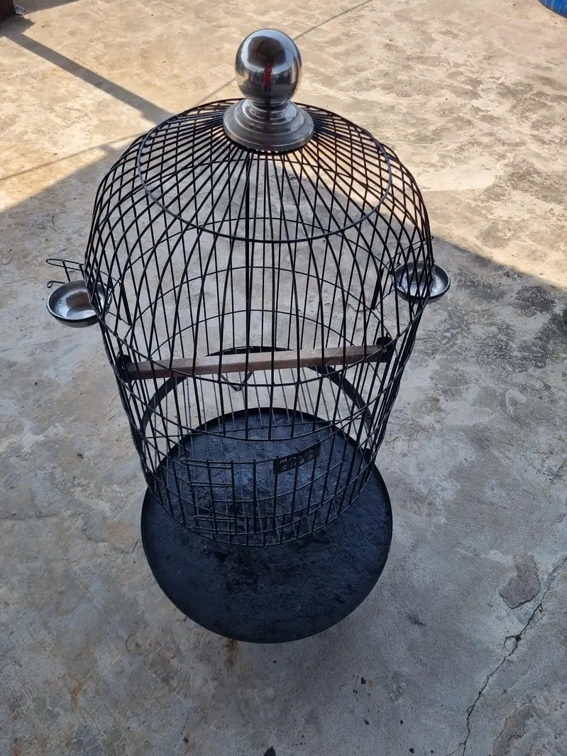 RAW + RINGNECK PARROTS cage for sale — photo 6
