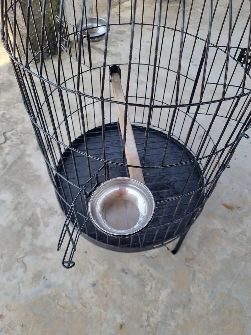 RAW + RINGNECK PARROTS cage for sale — photo 8