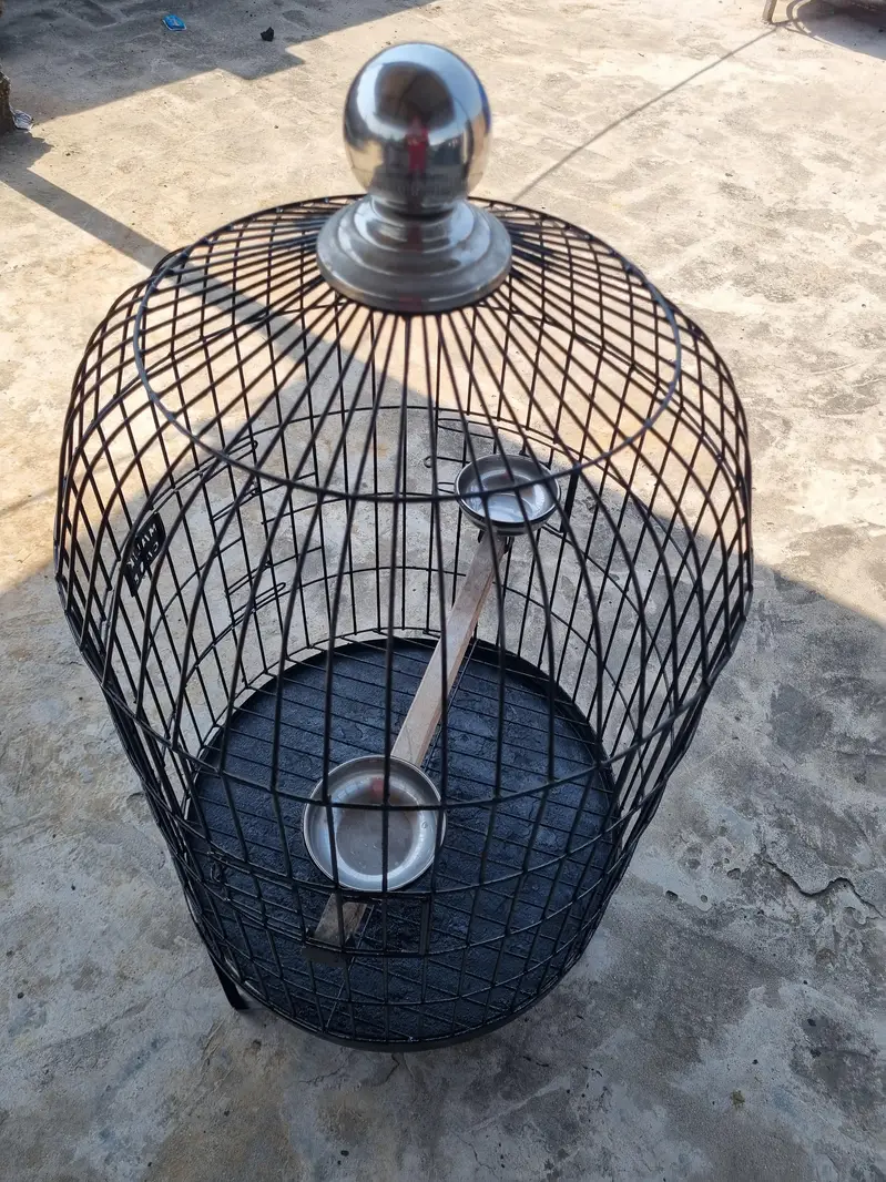 RAW + RINGNECK PARROTS cage for sale — photo 9