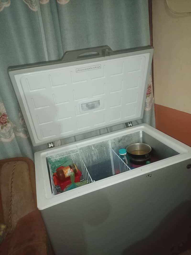 pel deep freezer 2
