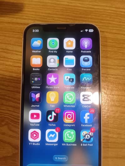 Apple iPhone 12