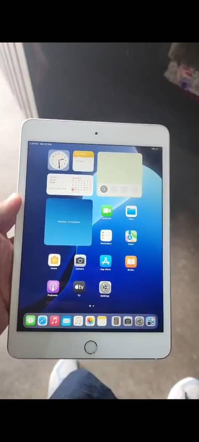 Apple ipad mini 5