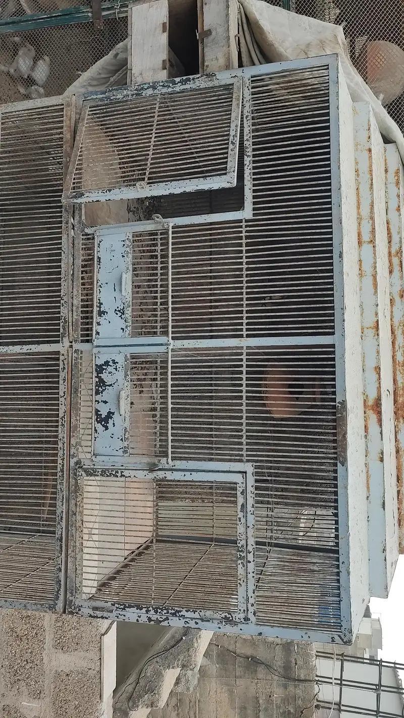 birds cages — photo 2