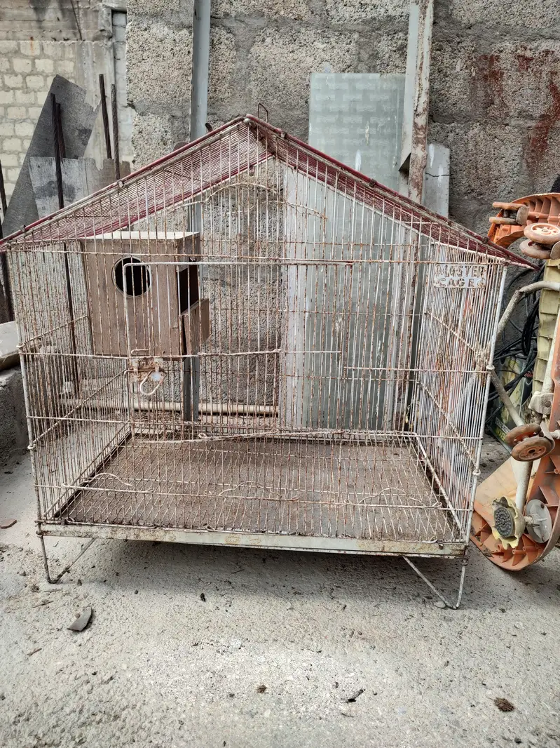 birds cages — photo 3