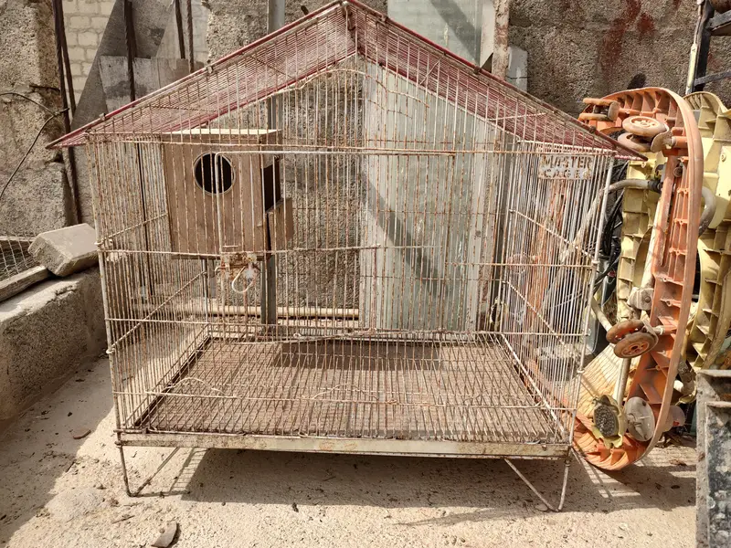 birds cages — photo 4