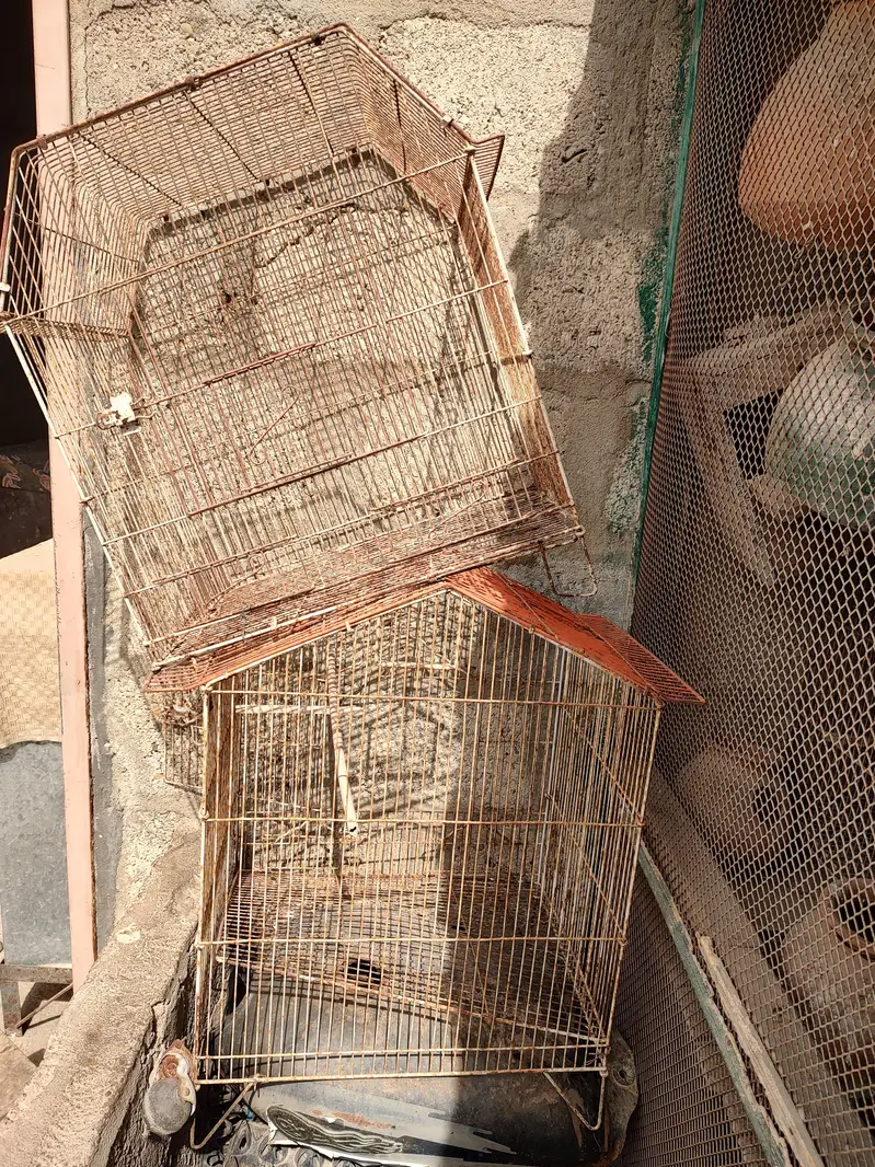 birds cages — photo 5