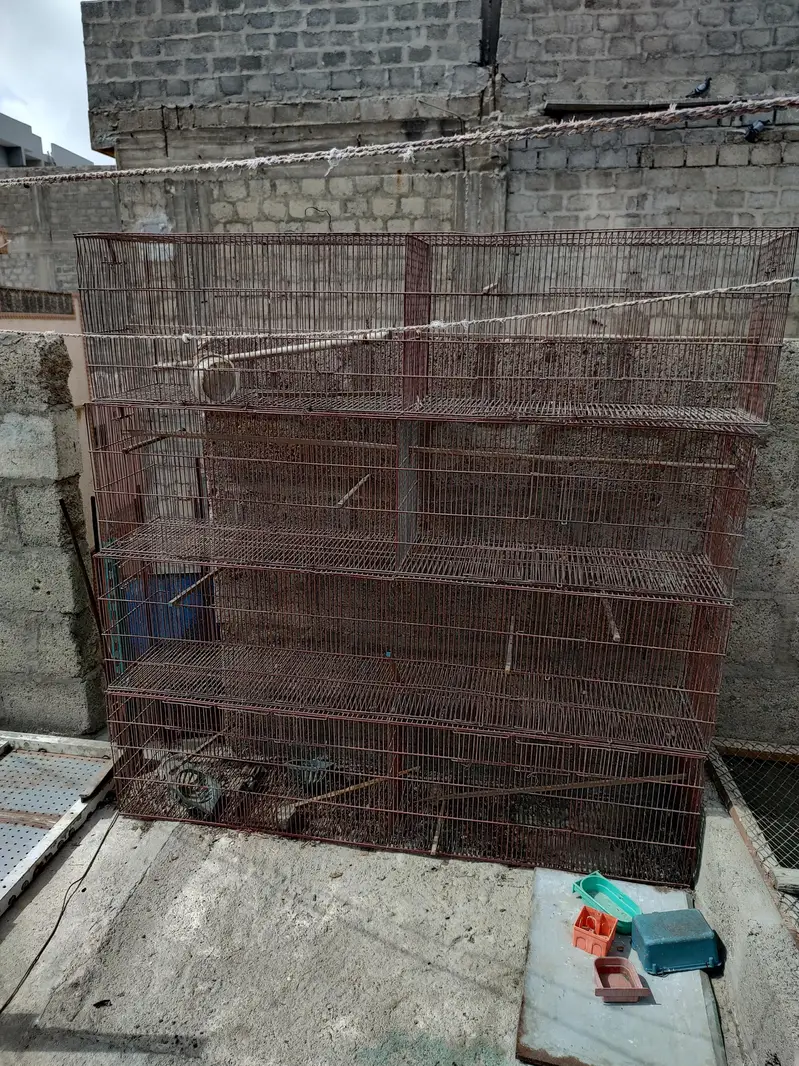 birds cages — photo 7