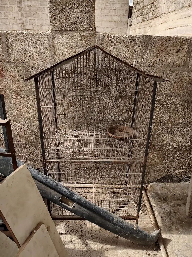 birds cages — photo 9