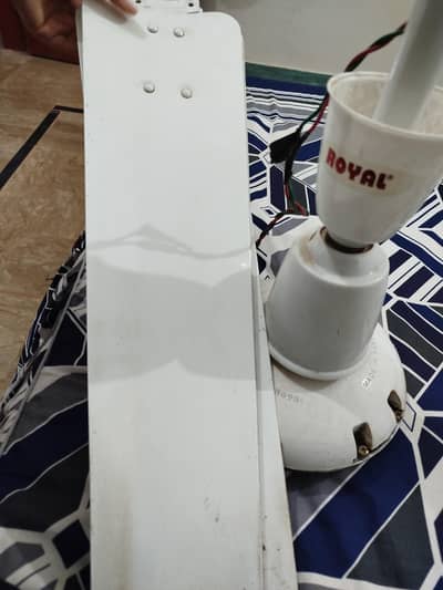 Royal Fan For Sale In Good Condition