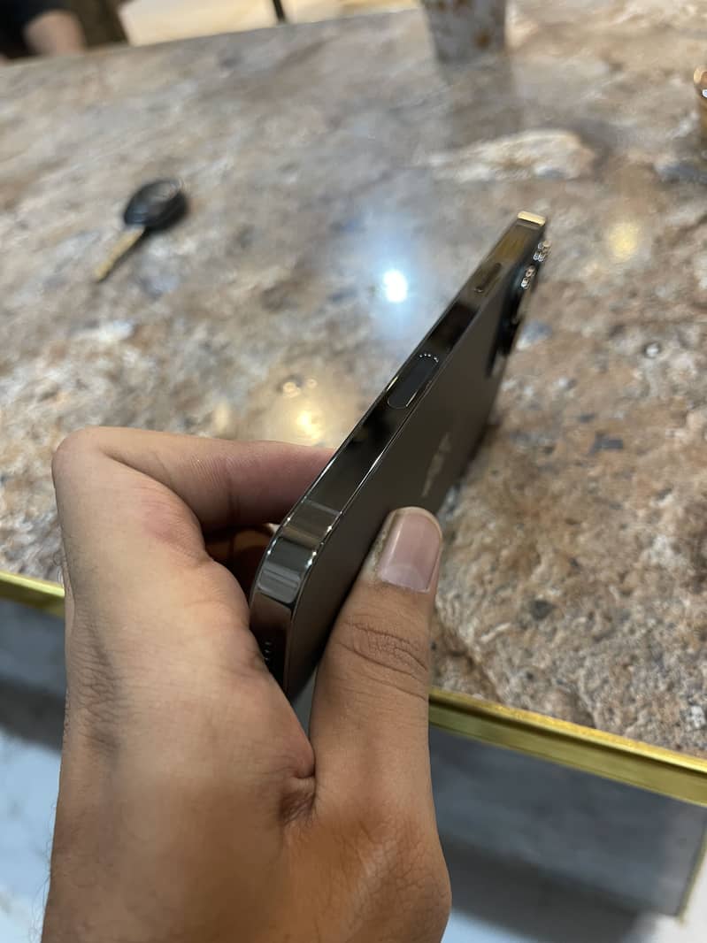 13promax 1
