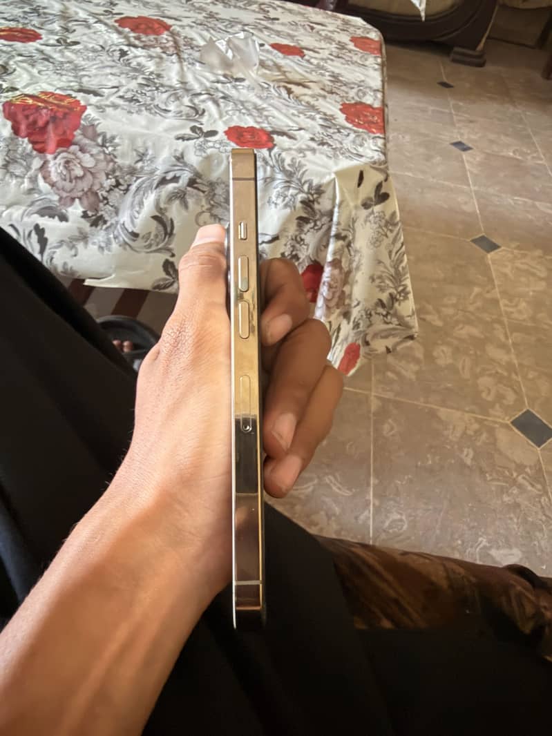 iPhone 13 Pro Jv 2
