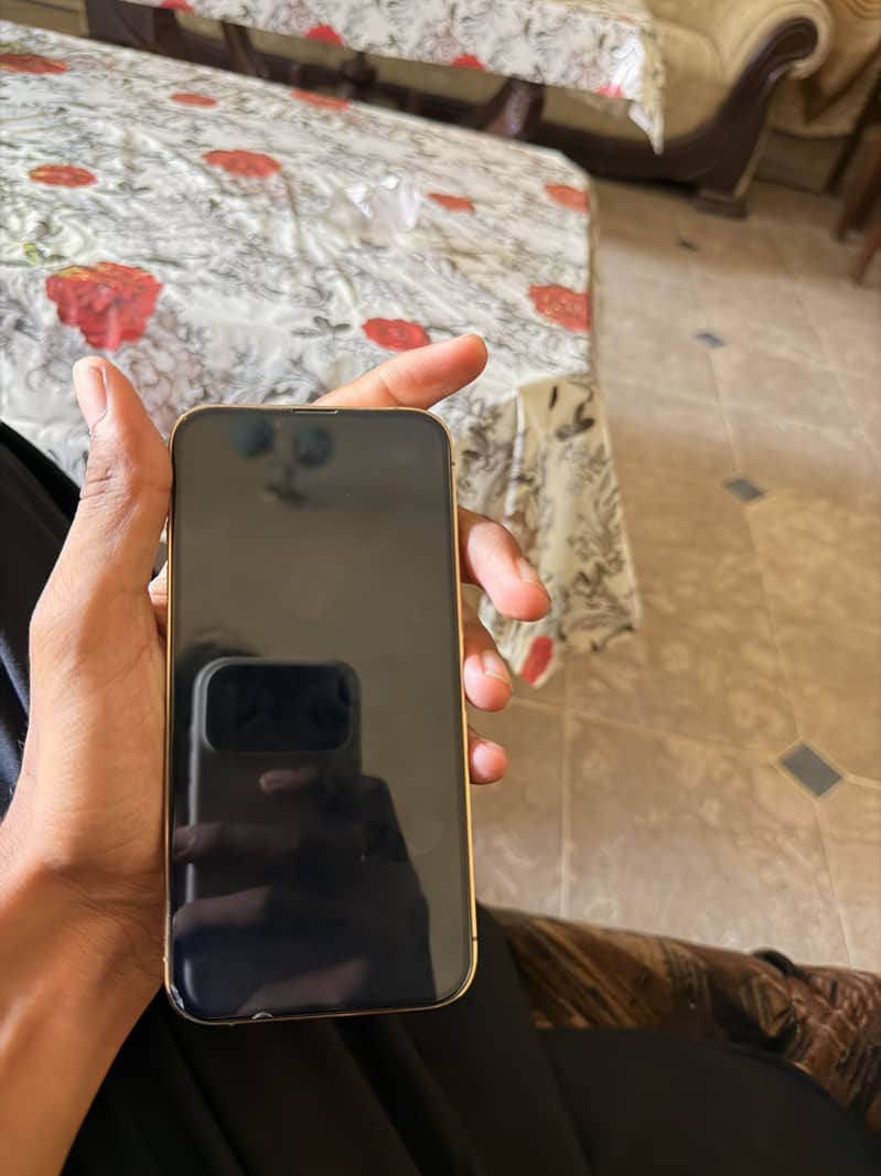 iPhone 13 Pro Jv 5