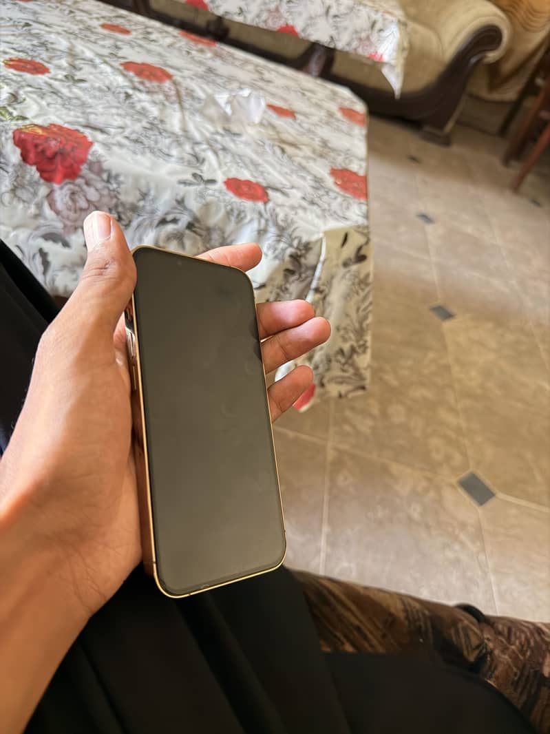 iPhone 13 Pro Jv 6