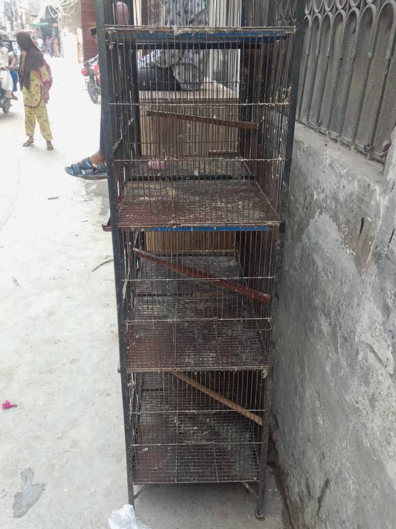 Parret cage 1