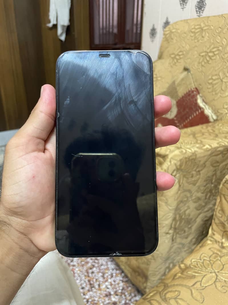 Apple iPhone 12 Pro Max 1