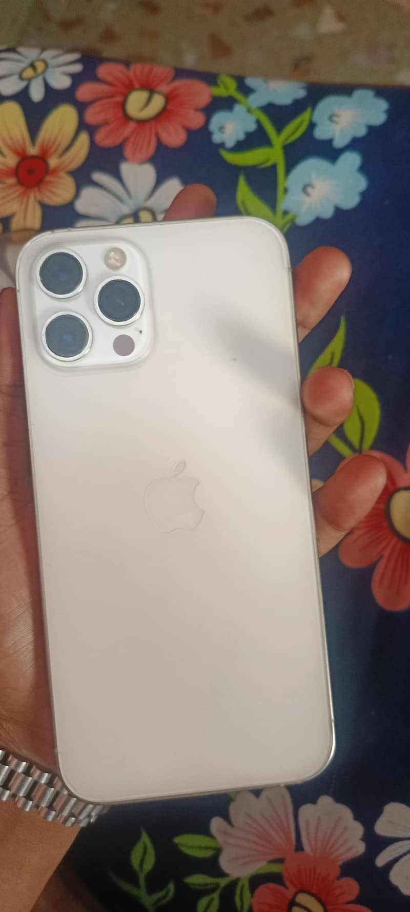 Apple iPhone 12 Pro Max 1