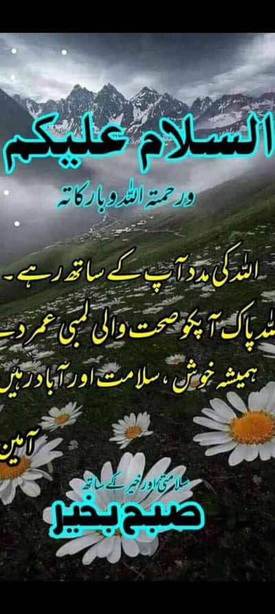 Adnan Rajput