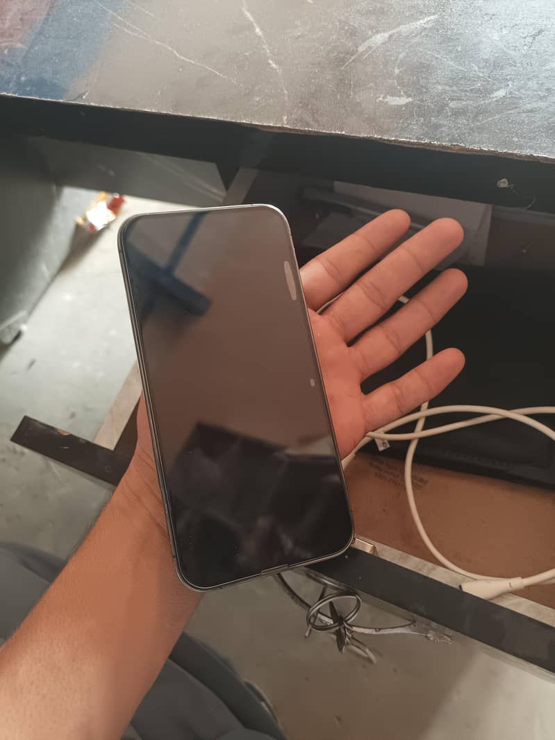 Apple iPhone 13 Pro Max 0