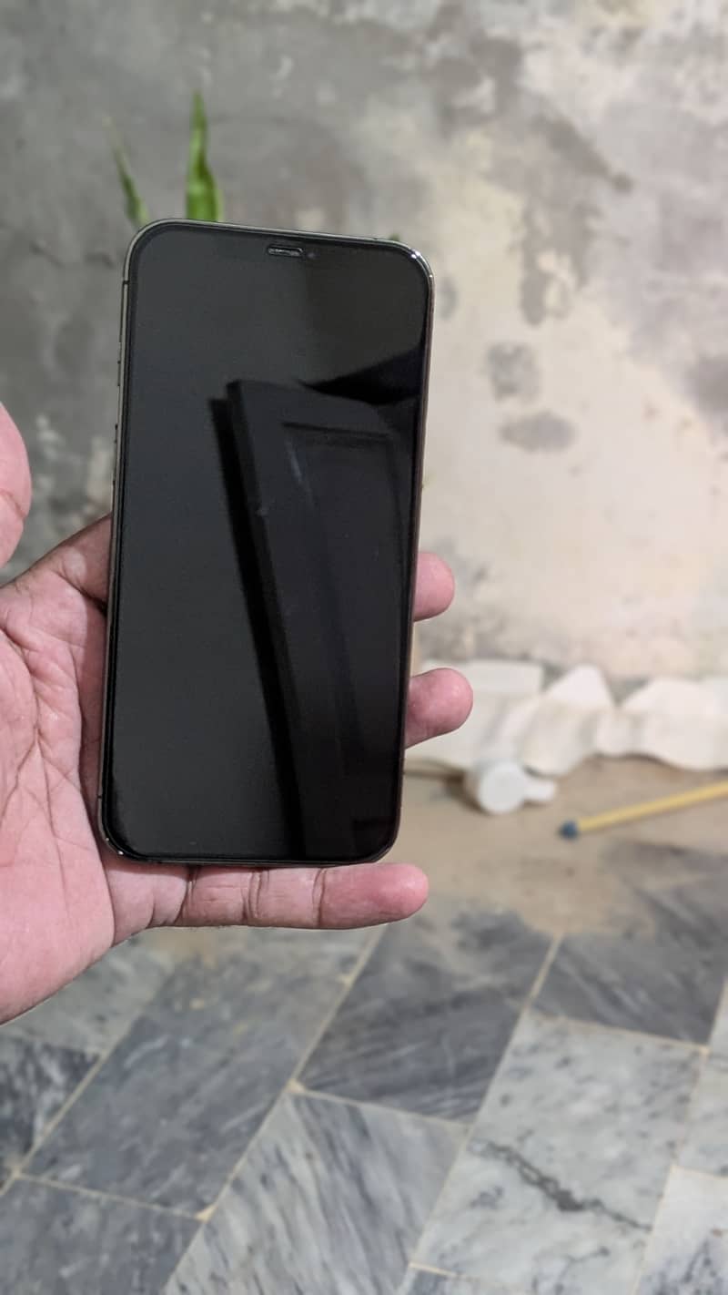 Apple iPhone 12 Pro Max 3