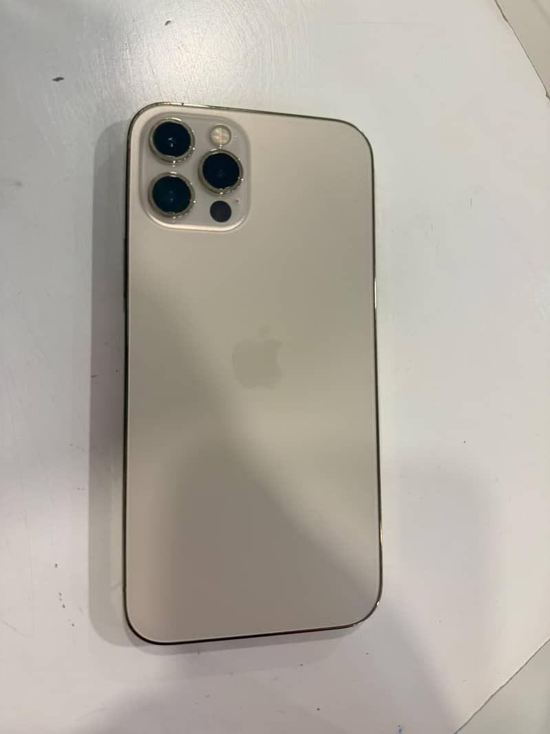 12 pro 1