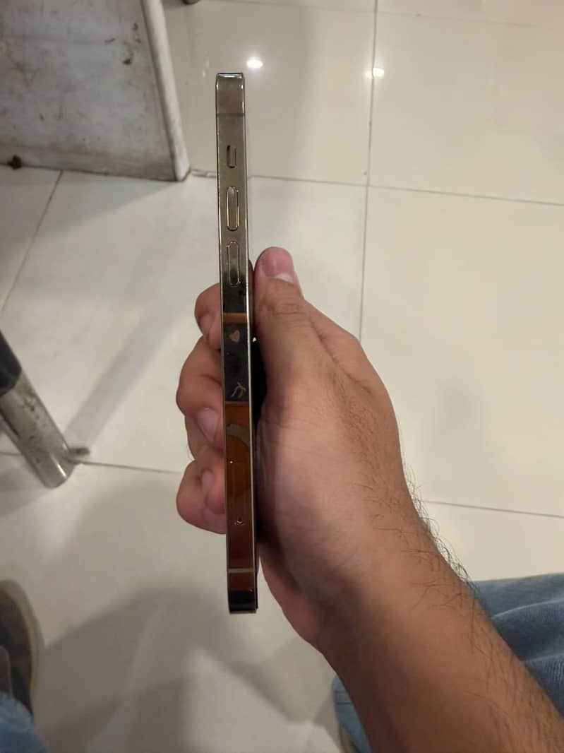12 pro 2