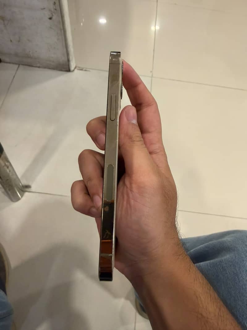 12 pro 4