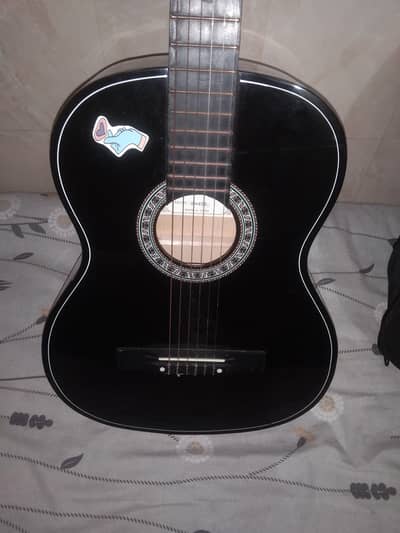 Acoustic Guitar