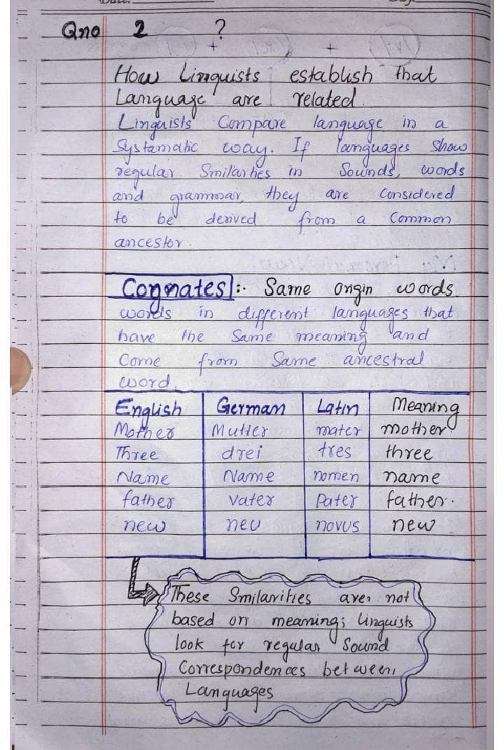 Assignment writter 2
