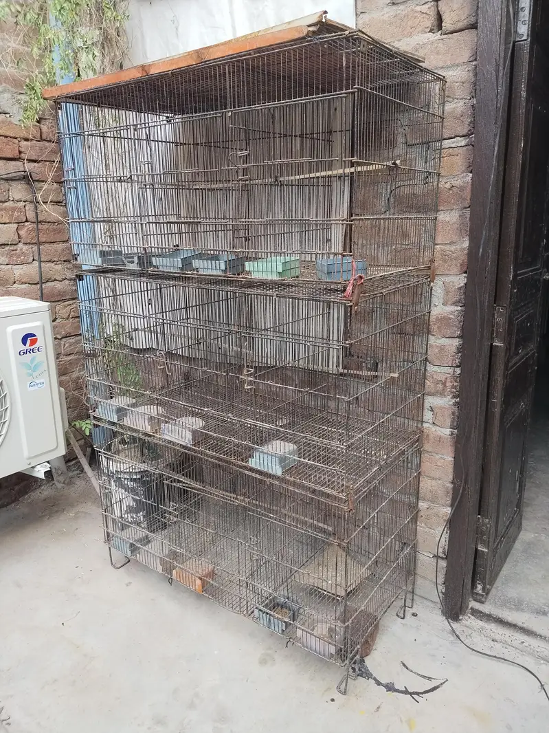 Cage for sale