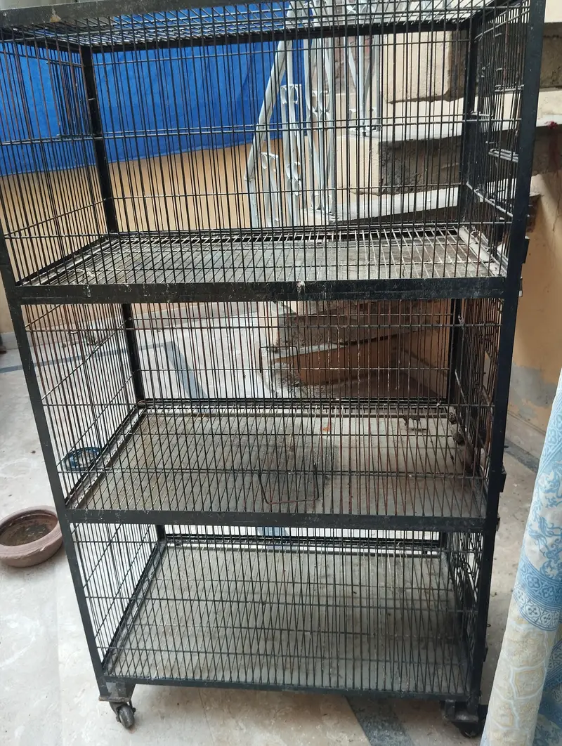 hen cage — photo 2