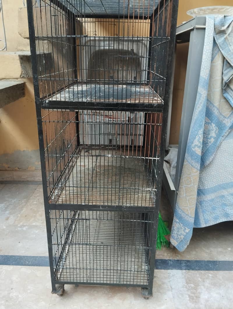 hen cage 2