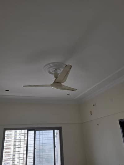 Fans 56" SK Brand Like New
