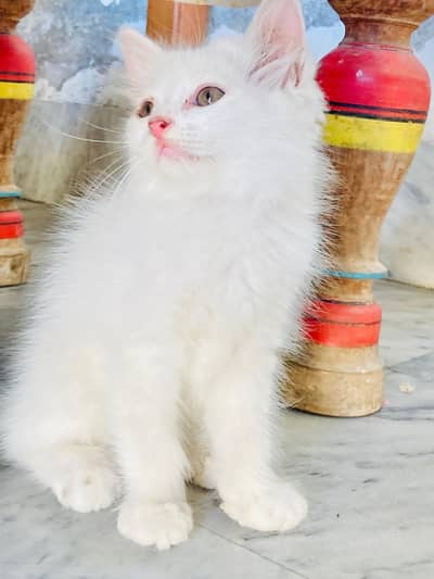 very sweet and cute