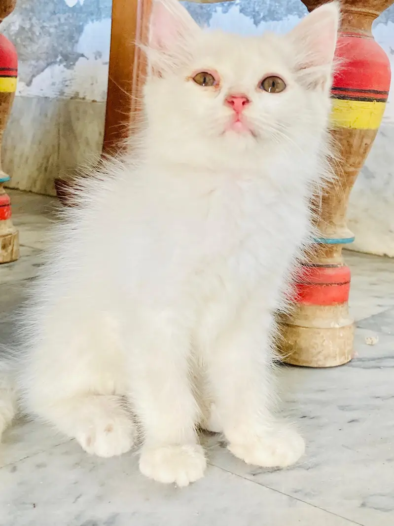very sweet and cute — photo 2
