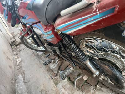 very good condition. lush condition.