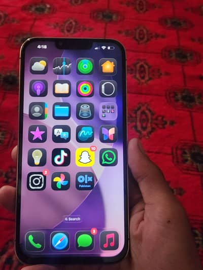 Apple iPhone 13 Pro Max
