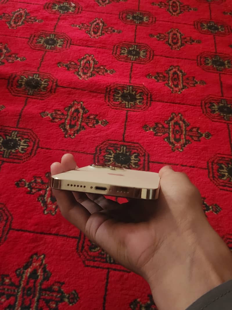 Apple iPhone 13 Pro Max 1