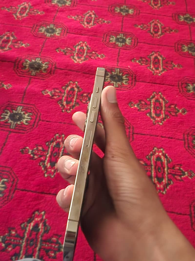 Apple iPhone 13 Pro Max 2
