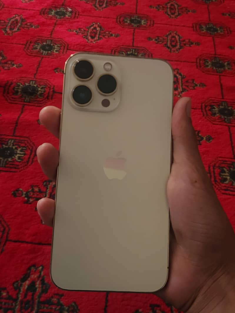 Apple iPhone 13 Pro Max 3