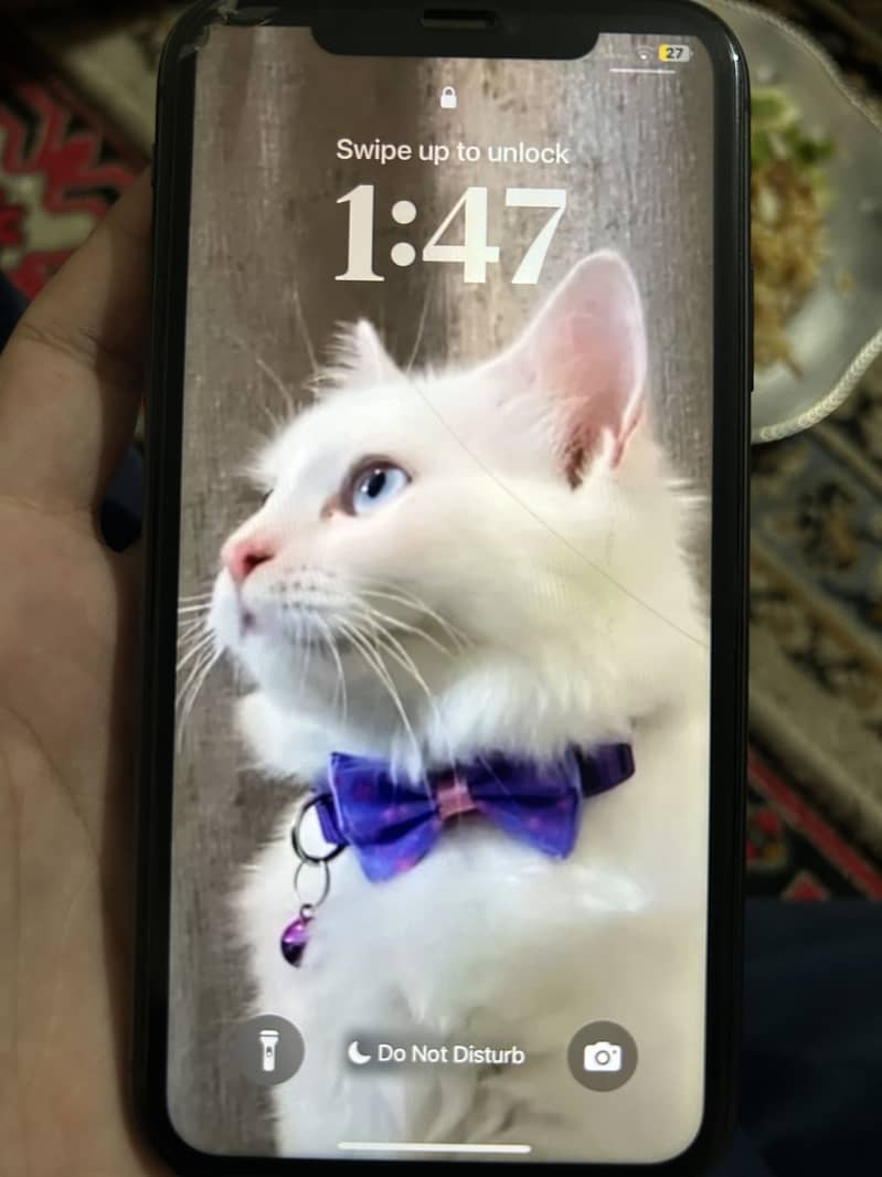 Apple iPhone 11 1