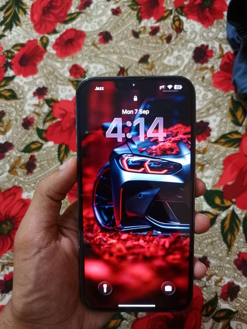 Apple iPhone 13 Pro Max 2